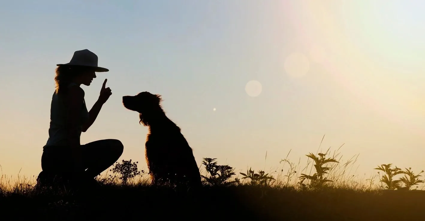 Endless Love Pets