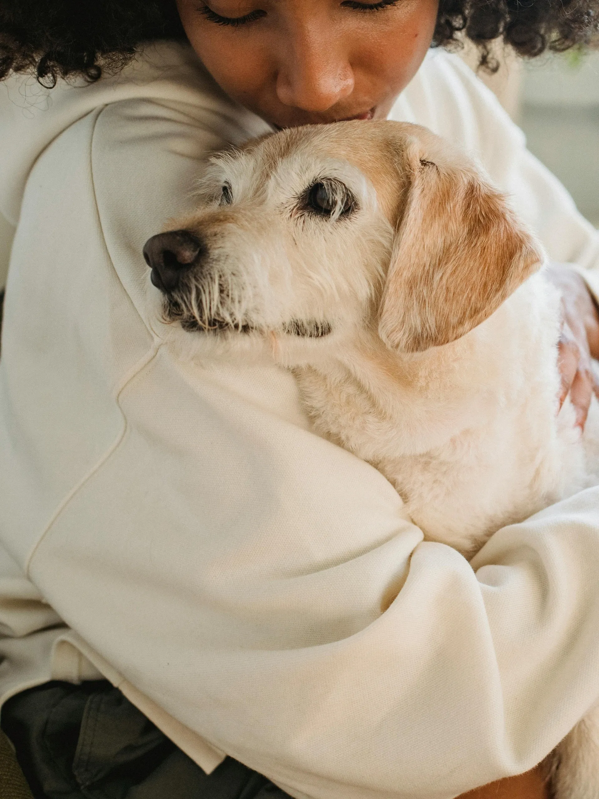 Endless Love Pets